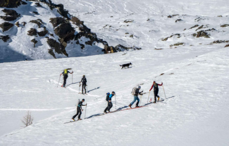 Skimofestival scialpinismo Bormio Valfurva