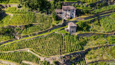 Agricoltura montagna Valtellina