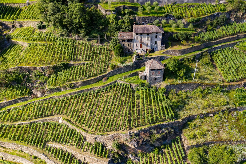 Agricoltura montagna Valtellina