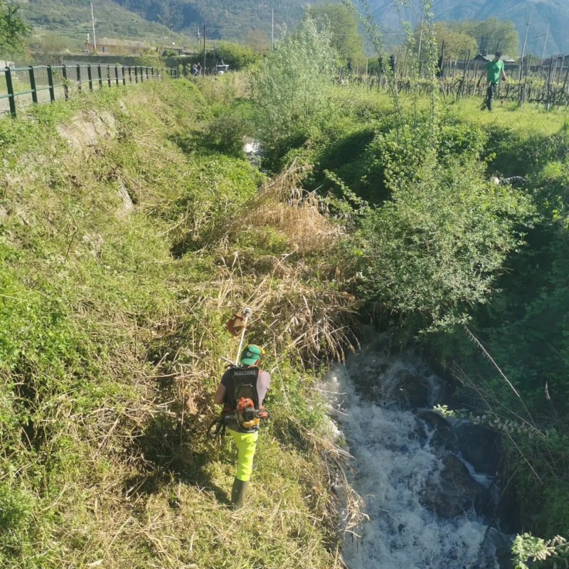 Piateda pulizia torrente Rhon