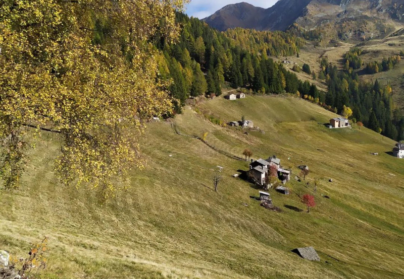 Alpe Predoria Albaredo Valle del Bitto