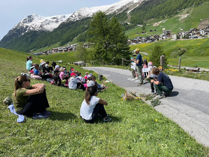 Festa degli alberi Livigno