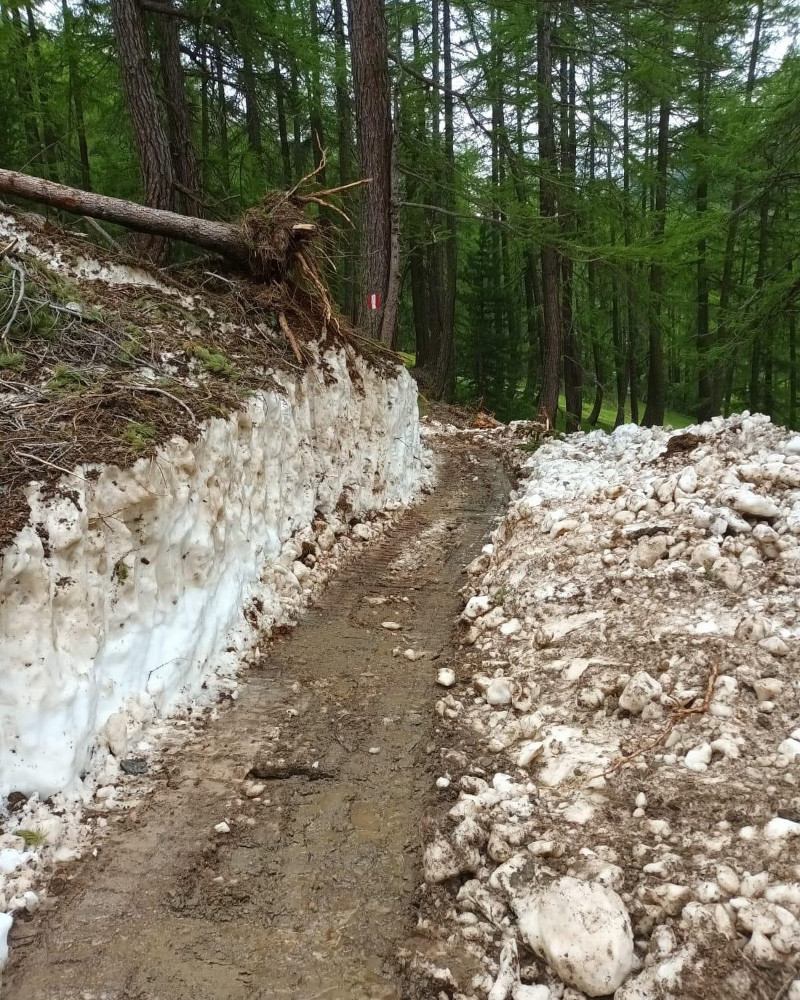 Livigno operai forestale interventi sentieri