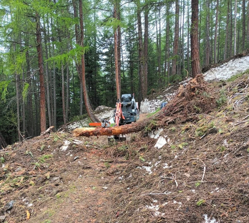 Livigno operai forestale interventi sentieri