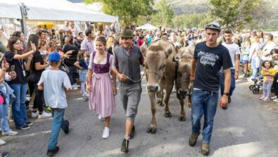 Albosaggia ScargaàMuut