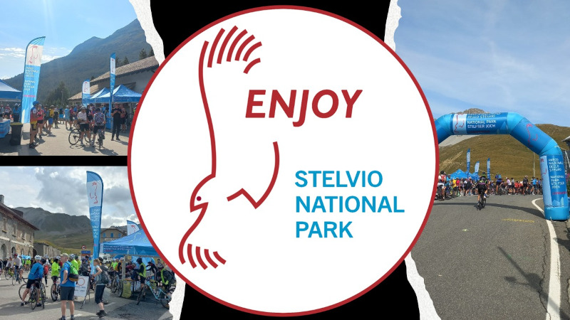 Logo Enjoy Stelvio Valtellina