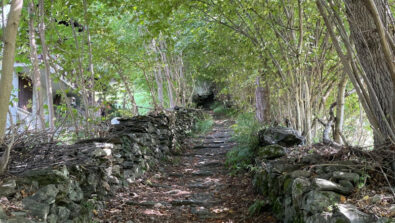 Sentiero Foppe Maggengo Parco Orobie Valtellinesi