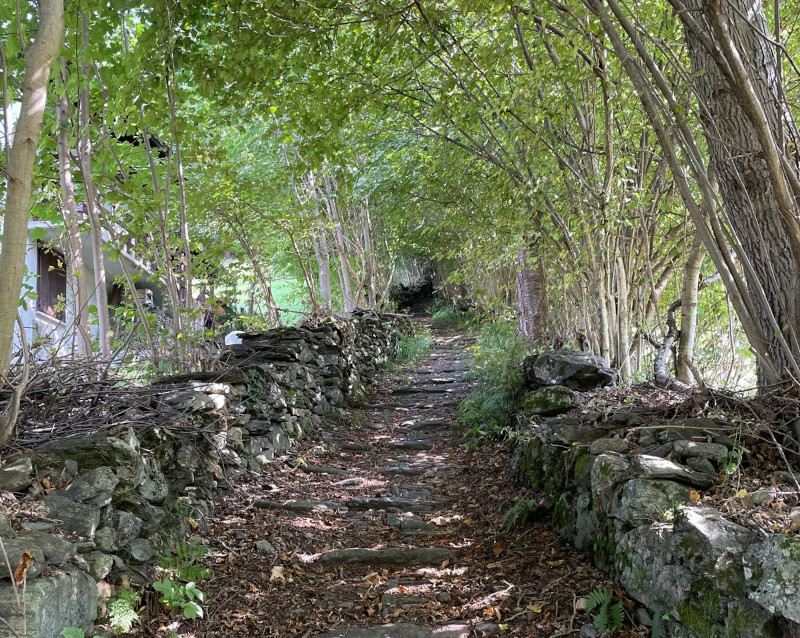 Sentiero Foppe Maggengo Parco Orobie Valtellinesi