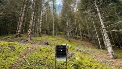 Monitoraggio bostrico Parco Orobie Valtellinesi