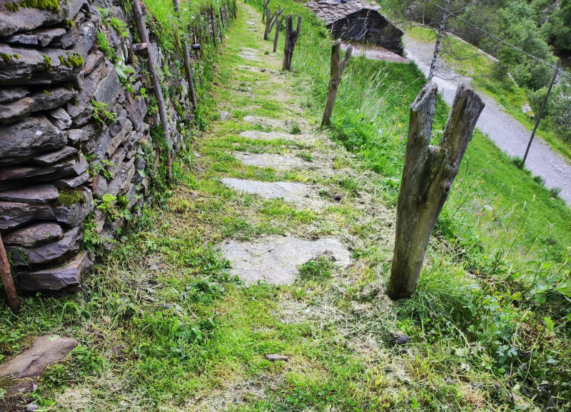 Manutenzione Sentiero Sui Passi di Suor Maria Laura