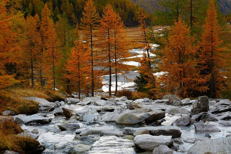 Predarossa autunno Val Masino Giancarlo Airoldi