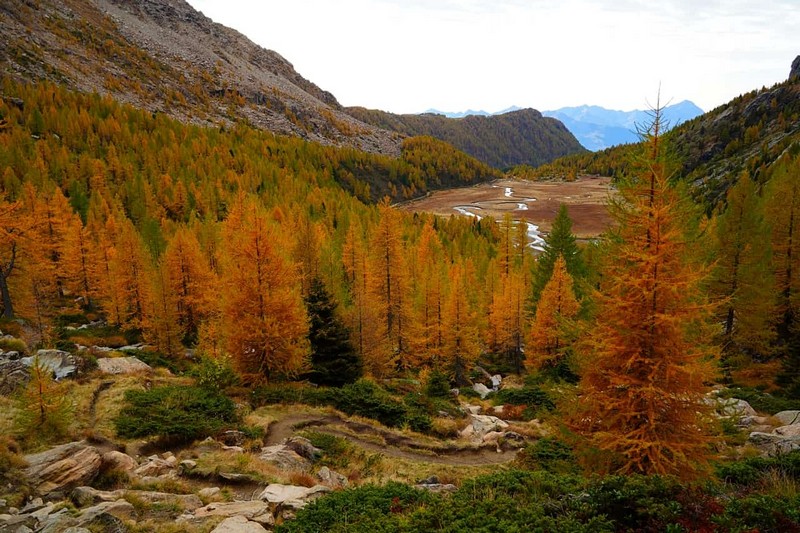 Predarossa autunno Val Masino Giancarlo Airoldi