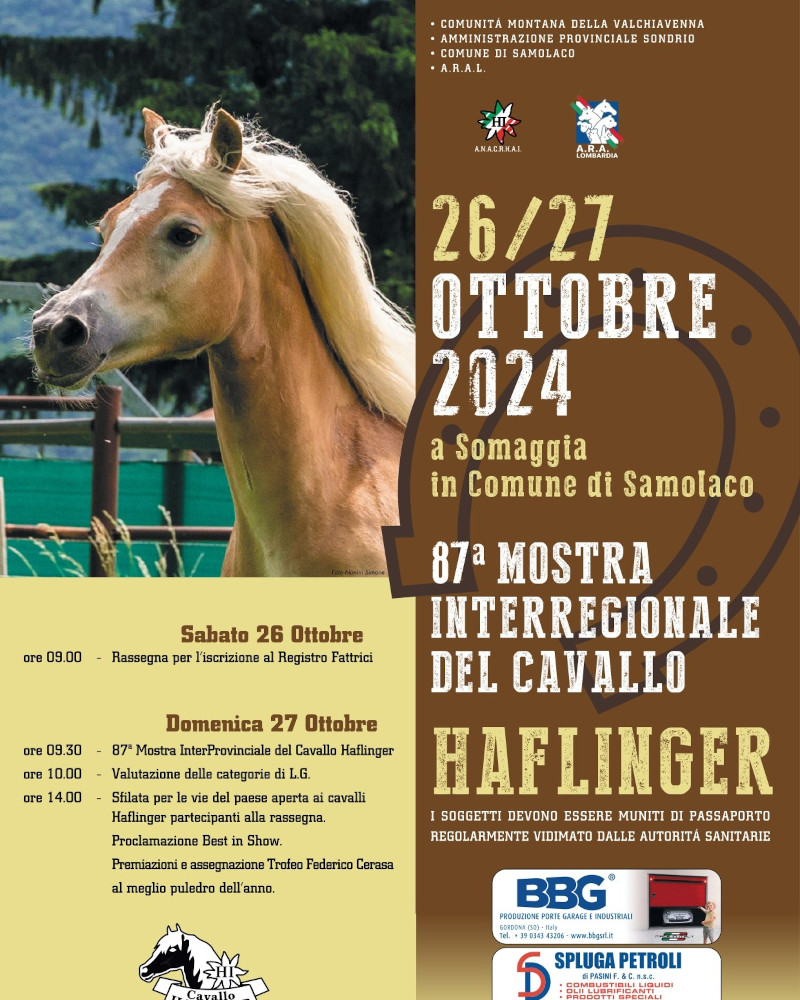 Locandina mostra cavalli Haflinger