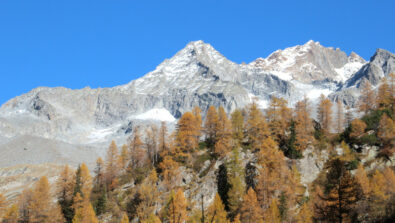 Monte Disgrazia Pizzo Pioda