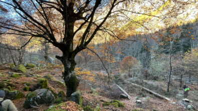 Riserva Naturale Val di Mello