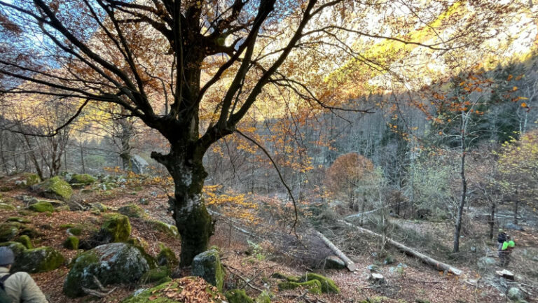 Riserva Naturale Val di Mello