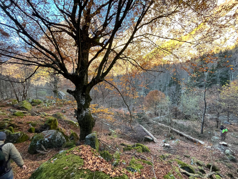 Riserva Naturale Val di Mello