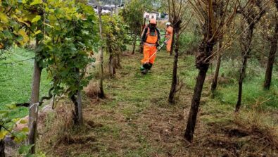 Gruppo di Protezione Civile degli Alpini al lavoro lungo il tracciato del Valtelline Wine Trail