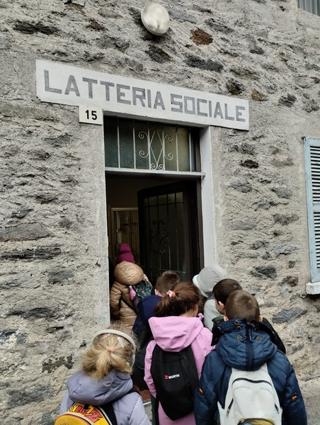 Scuole Colorina visita latteria Azienda Agricola Zamboni