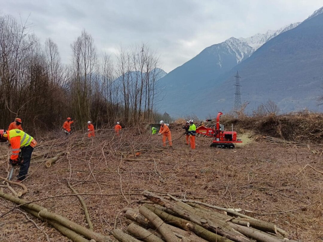 pulizia dell’alveo della Sacca e della parte terminale del Torrente Maroggia